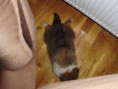 /album/mala-feebi/p3110039-jpg/